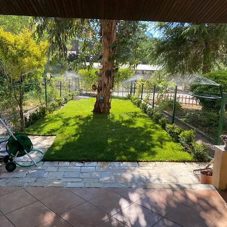 Garden *