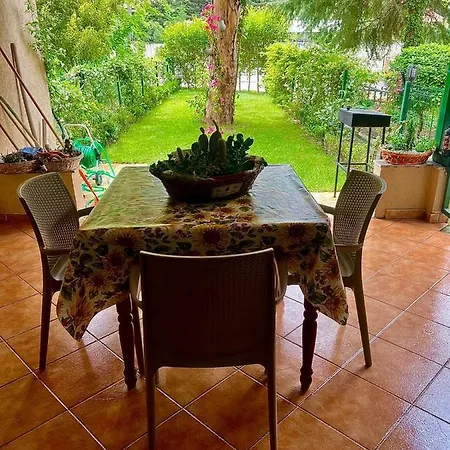 Garden *